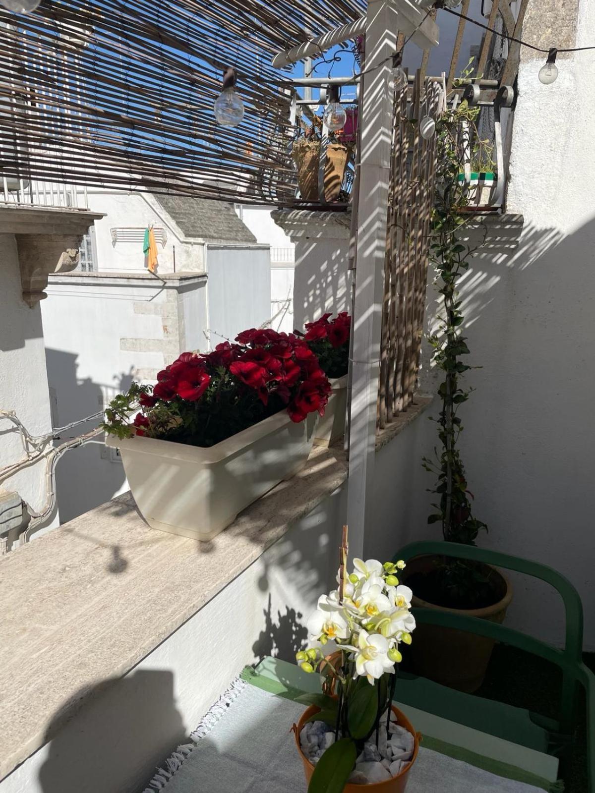 Ferienwohnung Casa Del Riccio Nel Centro Storico Martina Franca Exterior foto